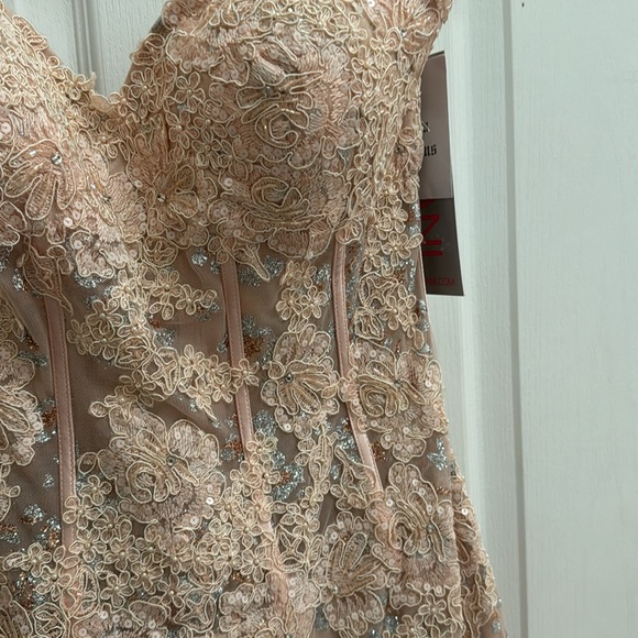 PROM SEASON Jovani for Cache dress size 12 mod 1531a new with tags color blush. - Picture 4 of 11